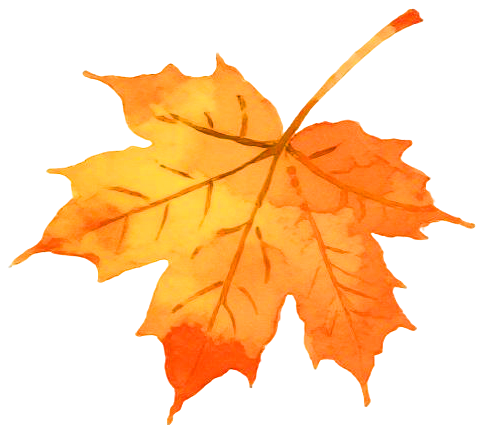 在无锡推荐打卡这些景点，节假日好玩又不花钱